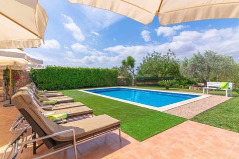 Garden, Pool view, Swimming pool, sunbed