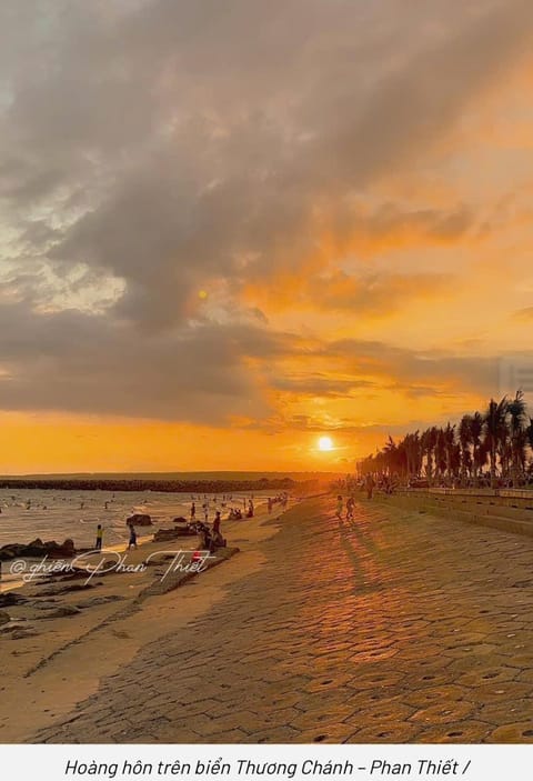 Natural landscape, Beach, Sunset