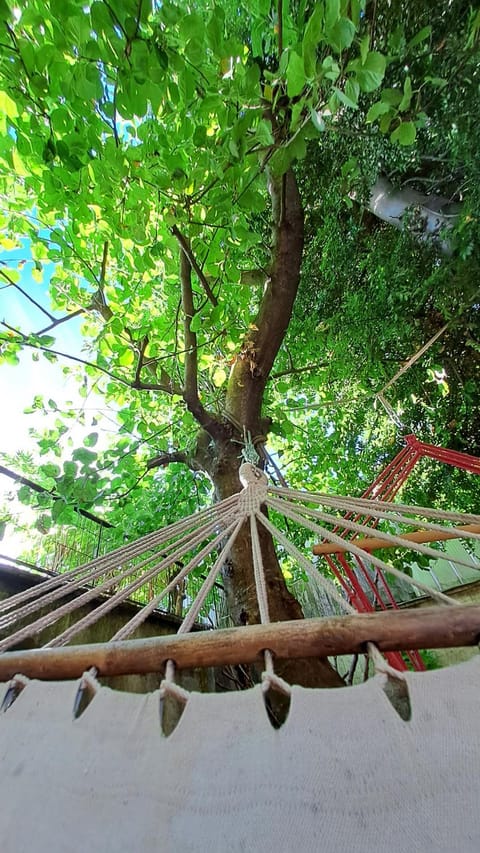 Garden, Balcony/Terrace