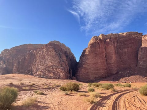 Celestial Camp Wadi Rum Camping /
Complejo de autocaravanas in South District