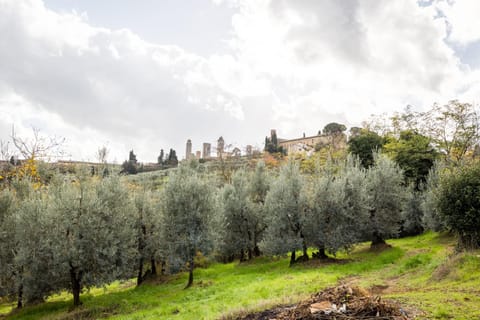 Natural landscape, Garden view