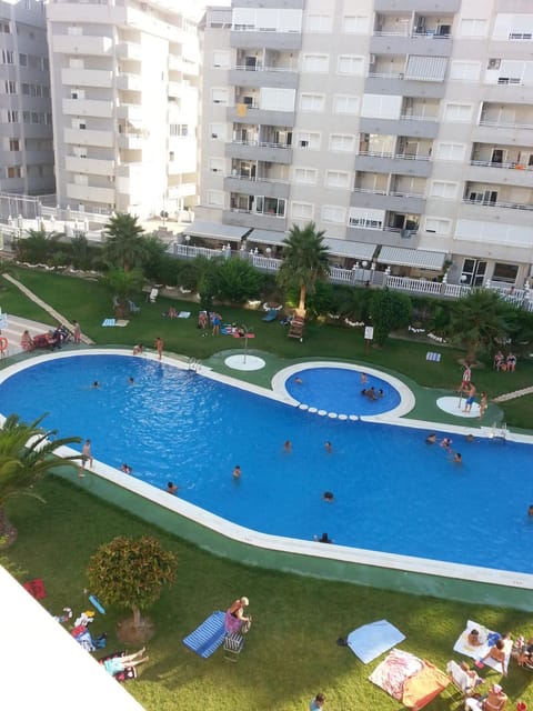 Garden, Swimming pool