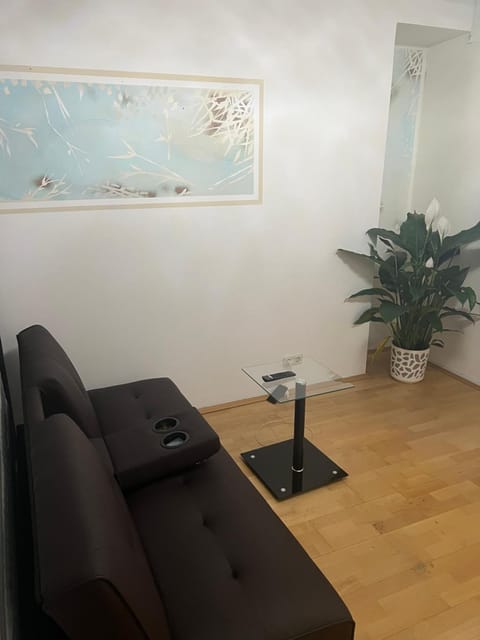 2 Zimmer mit Bad und WC teilen Apartment in Linz