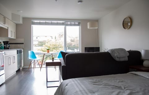 Capitol Hill Modern Studio with Free Parking! Condo in Capitol Hill