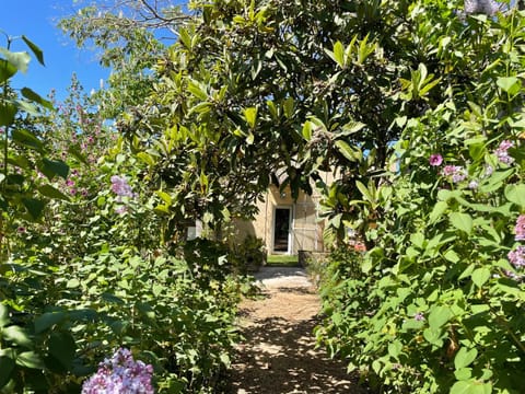 Day, Garden, Garden, Garden view