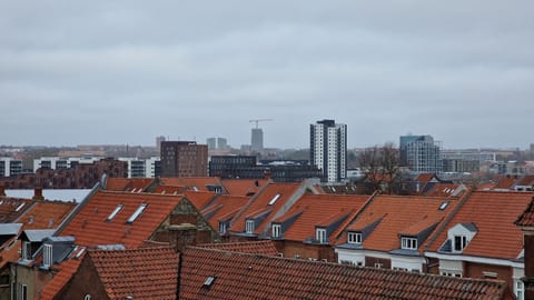 City view