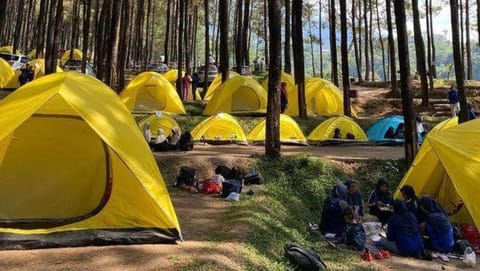 Nyiak Tanjuang camp area Luxury tent in Lembang