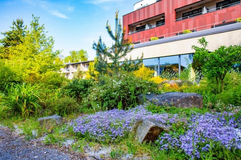 Property building, Garden