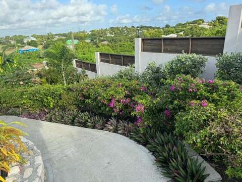 Property building, Garden, Garden view