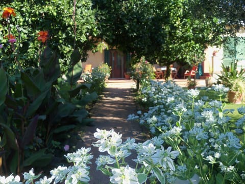 Tavernamici Bed and breakfast in Anguillara Sabazia