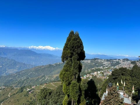 darjeeling homestay and restuarent Vacation rental in Darjeeling
