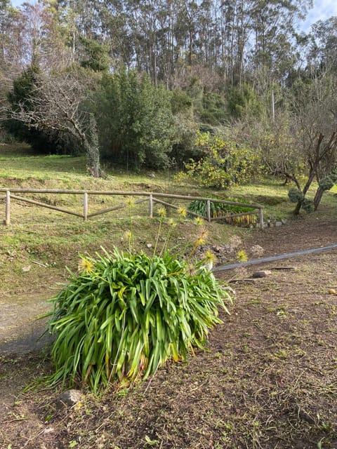 LOS CARBAYINOS Chalet in Villaviciosa