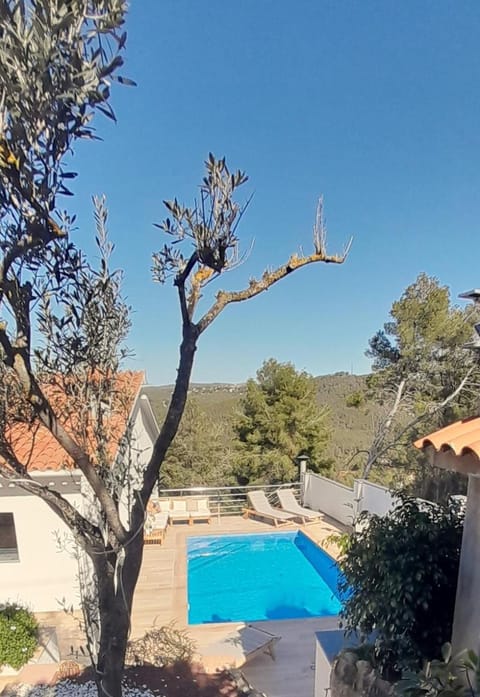 Spring, Day, Natural landscape, Pool view, Swimming pool, sunbed