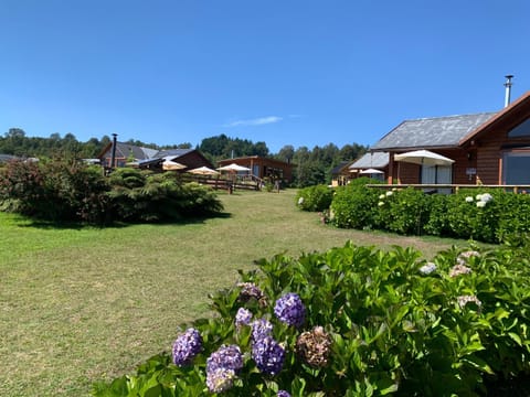 Cabañas Copayapu Haus in Pucon