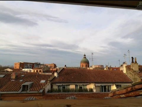 Appartement de charme au coeur de Toulouse Apartment in Toulouse