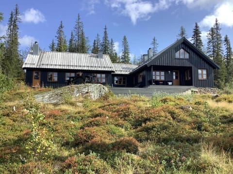 Property building, Day, Natural landscape