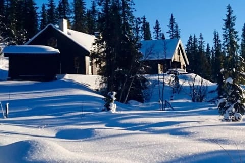 Property building, Day, Natural landscape, Winter