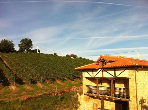 Bodegas Vidular House in Cantabria