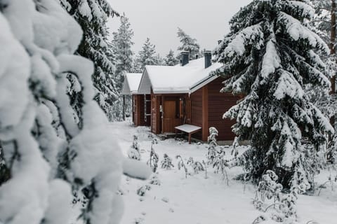 Kieppi Chalet Chalet in Rovaniemi