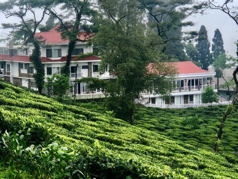 Sourenee Tea Estate Resort in West Bengal