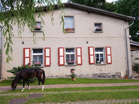 Property building, Facade/entrance, Pets