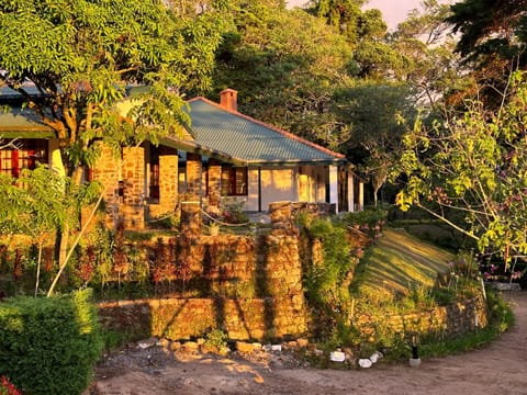 Property building, Garden view