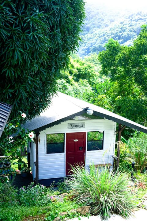 Silk Cotton Cottages Bed and Breakfast in Western Tobago