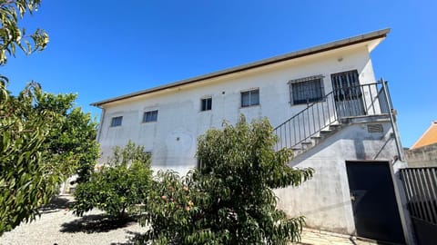 Property building, Garden view