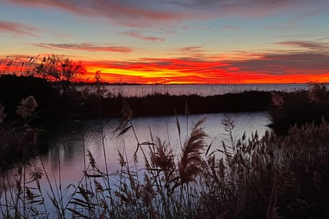 Natural landscape, Sunrise