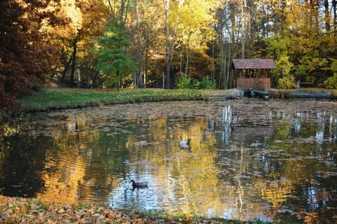 Nearby landmark, Natural landscape, Fishing, Autumn, Pets