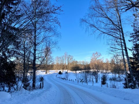 Natural landscape, Winter