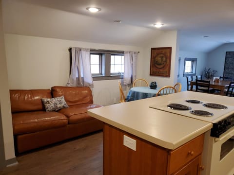 Spacious, Pet Friendly, in the Heart of Downtown Condominio in New Glarus