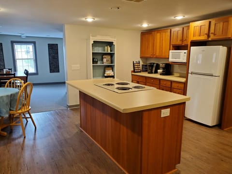 Spacious, Pet Friendly, in the Heart of Downtown Condo in New Glarus