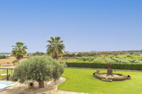 Patio, Garden, Garden view