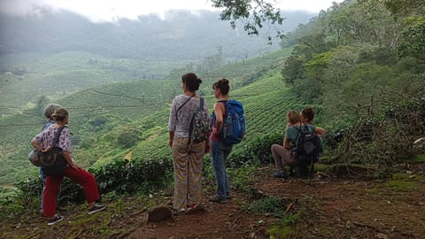 The wayside cottage Munnar House in Kerala