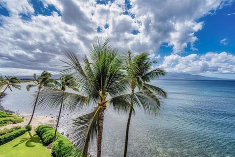 Spacious Oceanfront — Big Views — Remodeled 2022 House in Maalaea