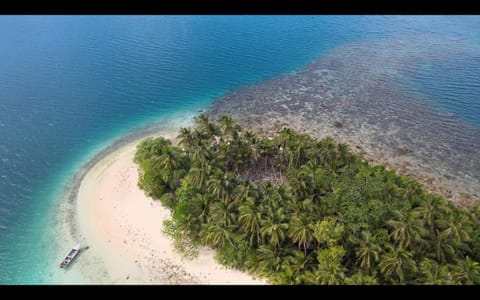 Natural landscape, Bird's eye view, Beach, Sea view