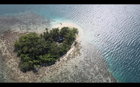 Natural landscape, Bird's eye view, Beach