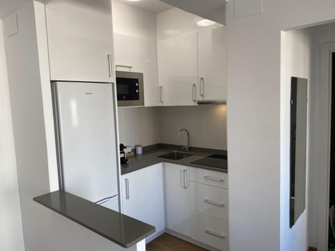 Kitchen or kitchenette, Photo of the whole room, minibar, stove