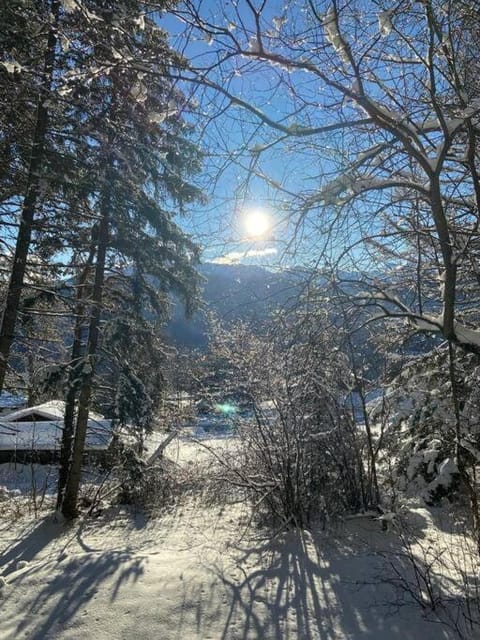 Natural landscape, Winter, Mountain view