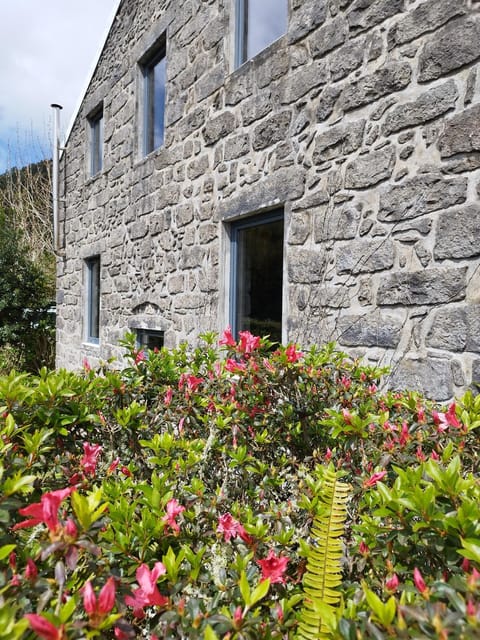 Casa dos Platanos-Family Home House in Azores District