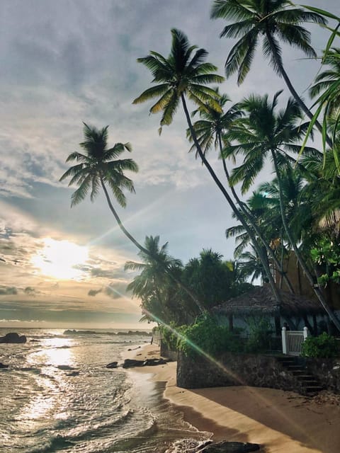 Beach, Sunset