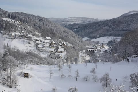 Winter, View (from property/room), On site