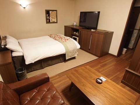 Bed, TV and multimedia, Living room, Photo of the whole room, Bedroom