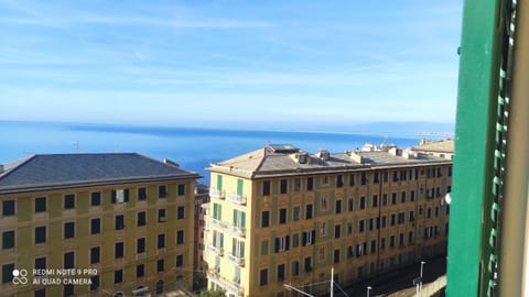 City view, Sea view