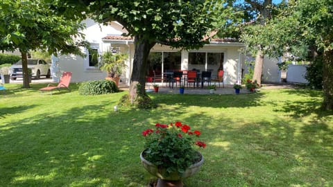 Patio, Garden, Garden view