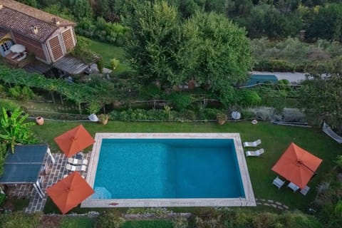 Bird's eye view, Pool view