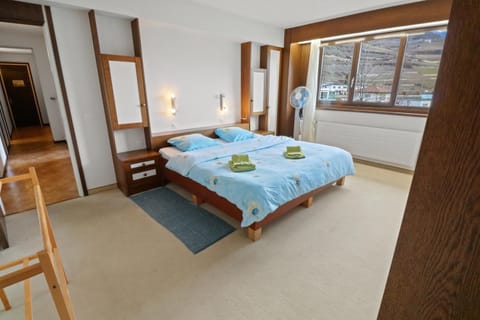 Appartement au coeur du vignoble Condo in Crans-Montana