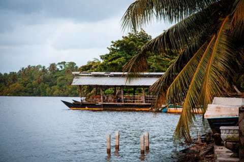 Activities, Lake view, River view