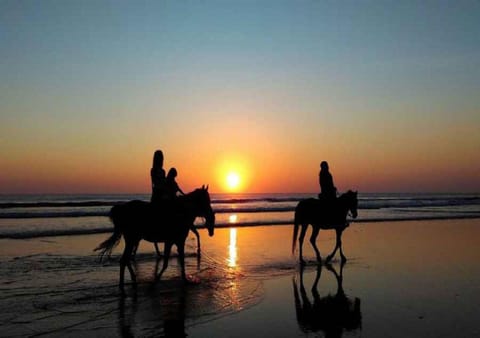 Nearby landmark, Spring, Natural landscape, Summer, Horse-riding, Horse-riding, Entertainment, Seasons, Sunset